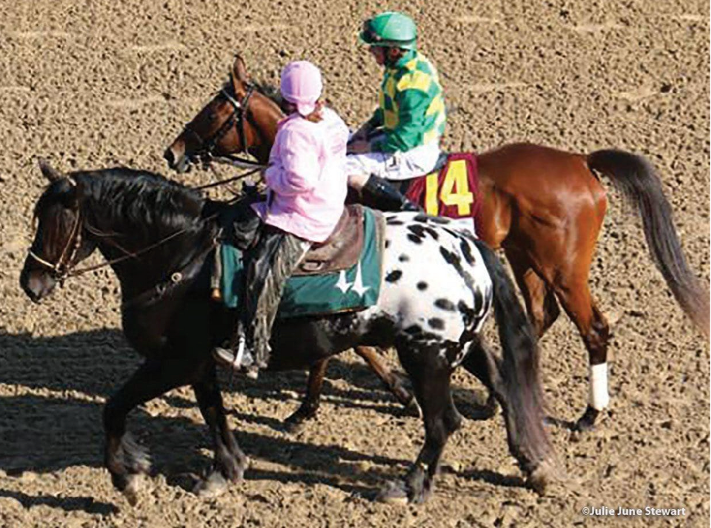 Harley Breyer Horse