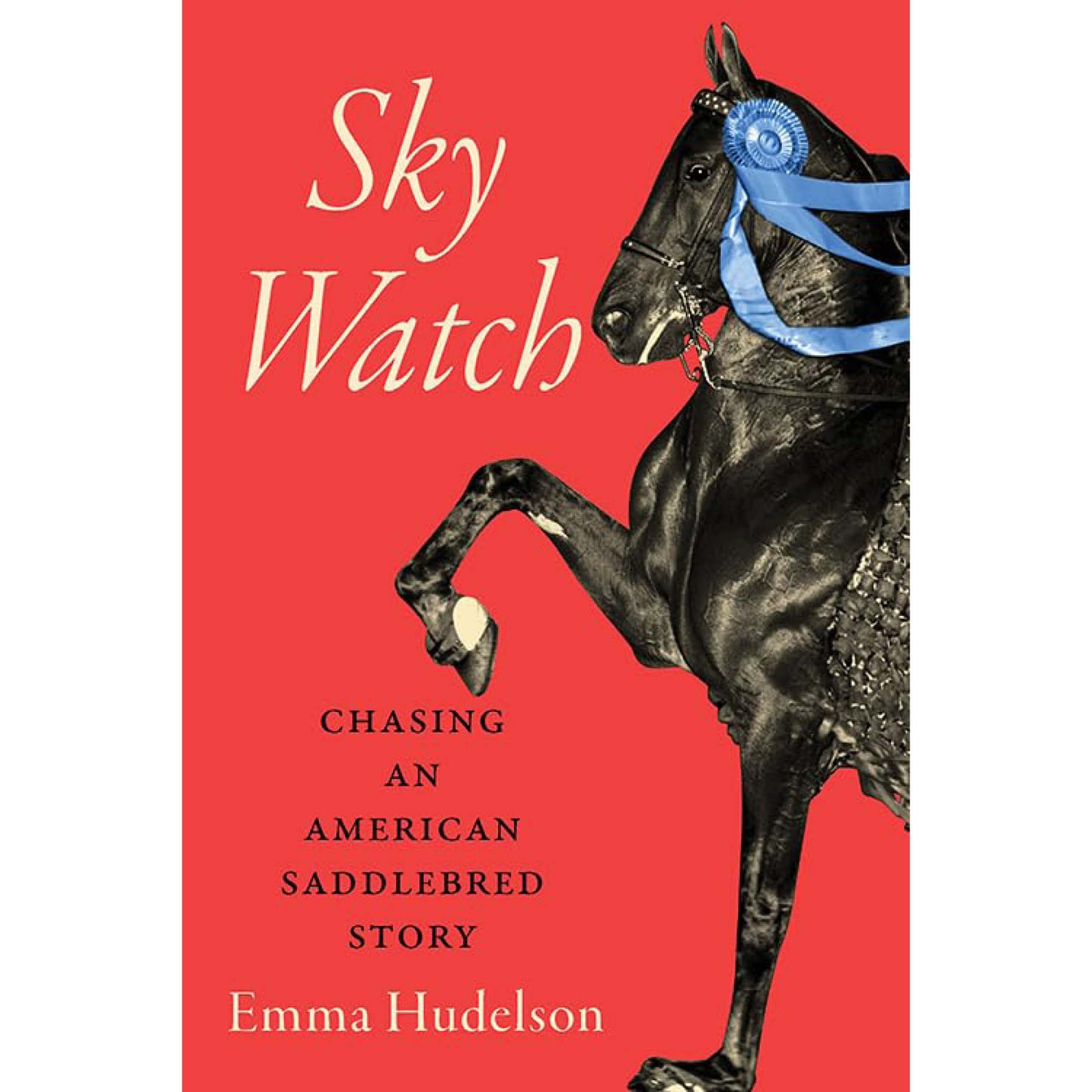 Sky Watch: Chasing an American Saddlebred Story