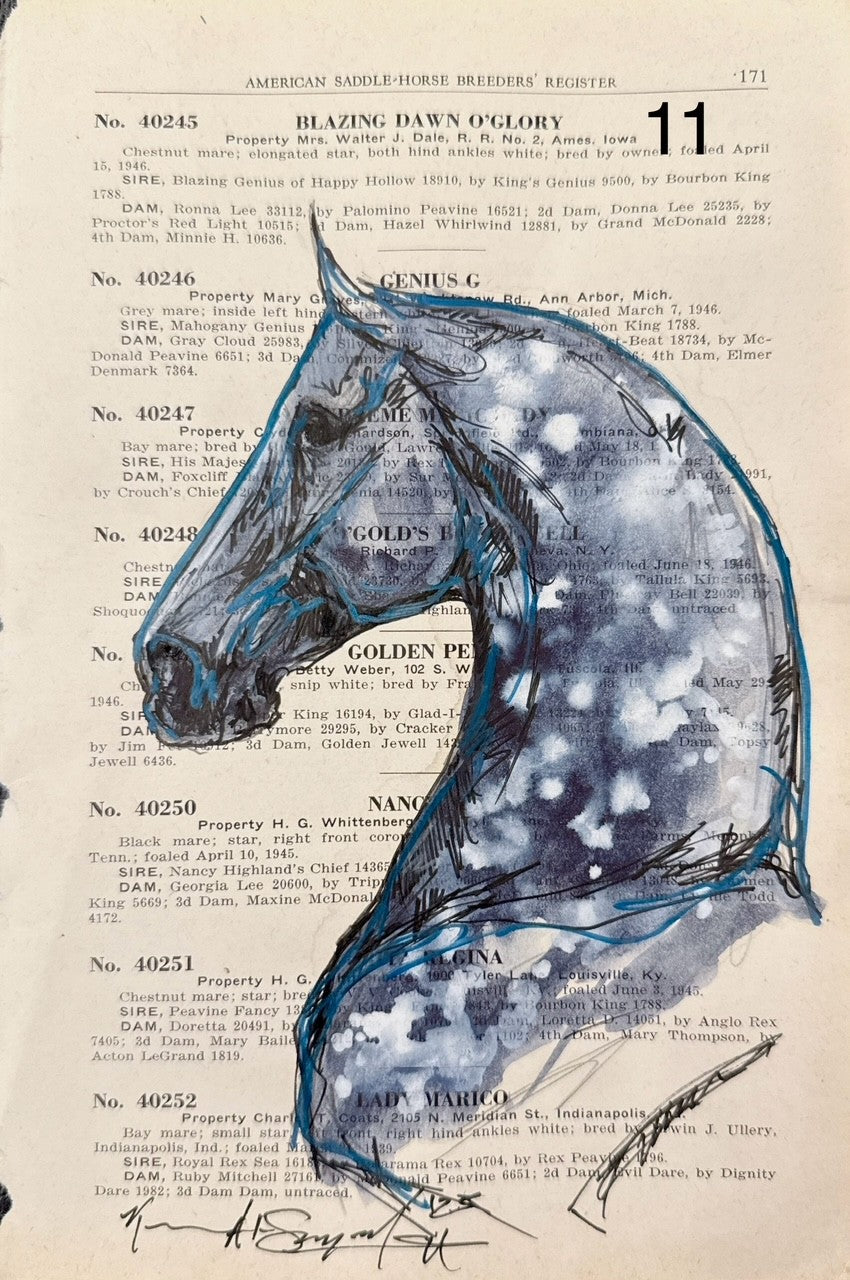 Kenna Al-Sayed: American Saddle Horse page 171 approx 6x9” 11