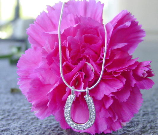 Sterling Silver Crystal Horseshoe Necklace