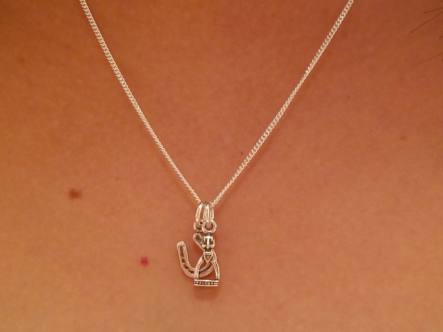 Sterling Silver Horseshoe and Stirrup Charm Necklace