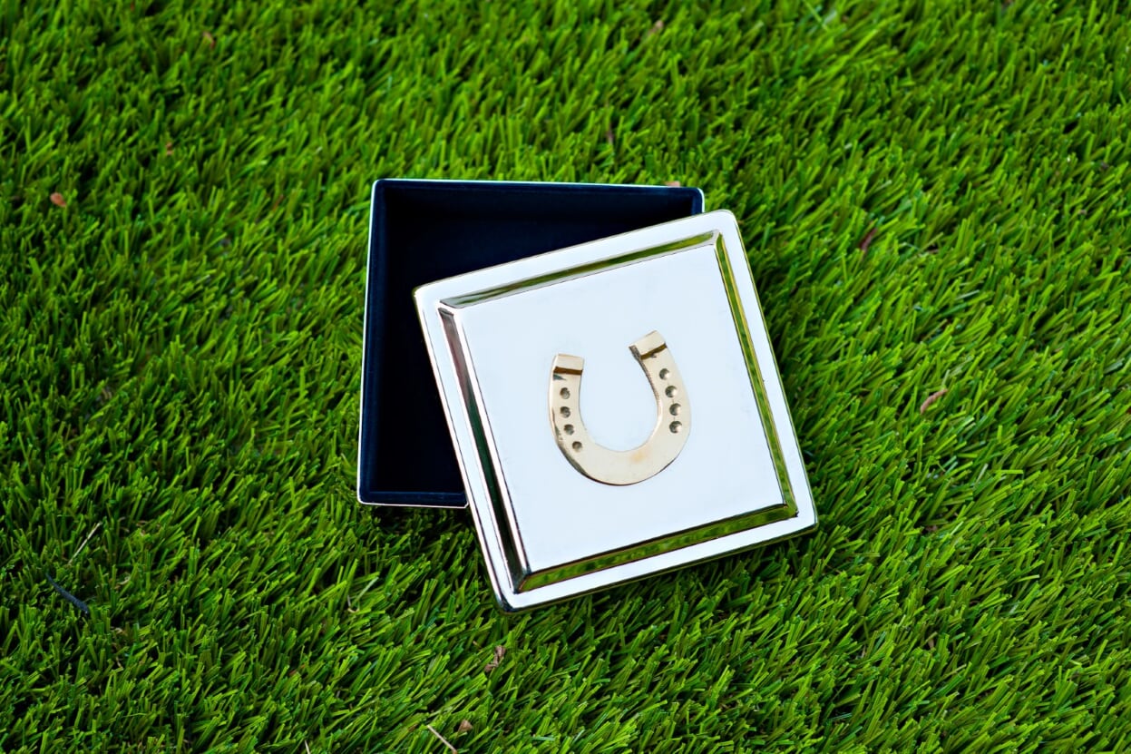Lela Ray Silver Plated Trinket Box with Solid Brass Horseshoe