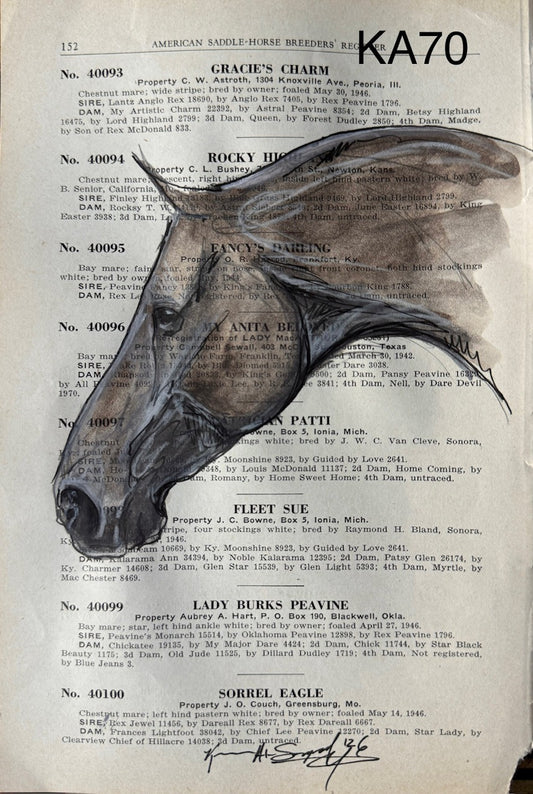 Kenna Al-Sayed: Original American Saddlebred Art on Vintage American Saddle-Horse Register Page 152, 6" x 9" (KA70)