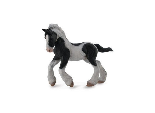 Gypsy Vanner Foal | Black & White Piebald