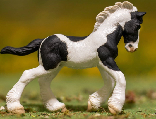 Gypsy Vanner Foal | Black & White Piebald