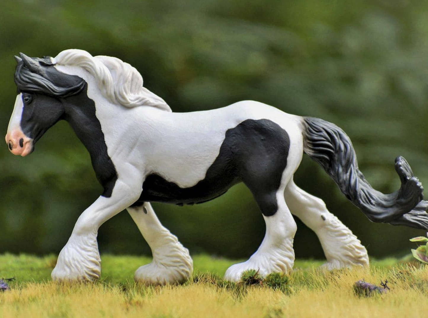 Gypsy Vanner Mare | Black & White Piebald