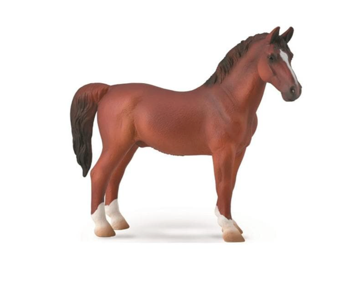 Chestnut Hackney Stallion