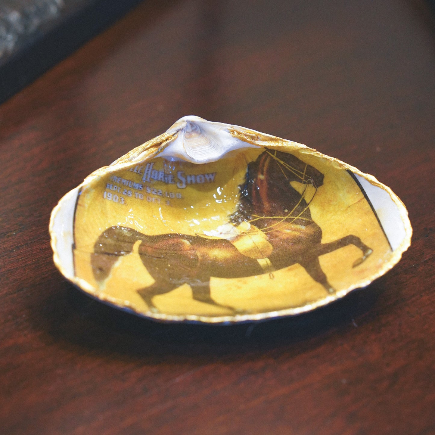 American Saddlebred Decoupage Shell