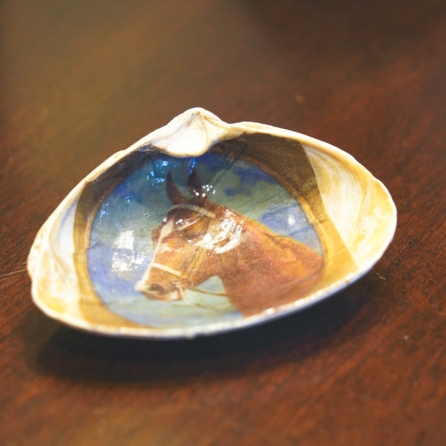 American Saddlebred Decoupage Shell