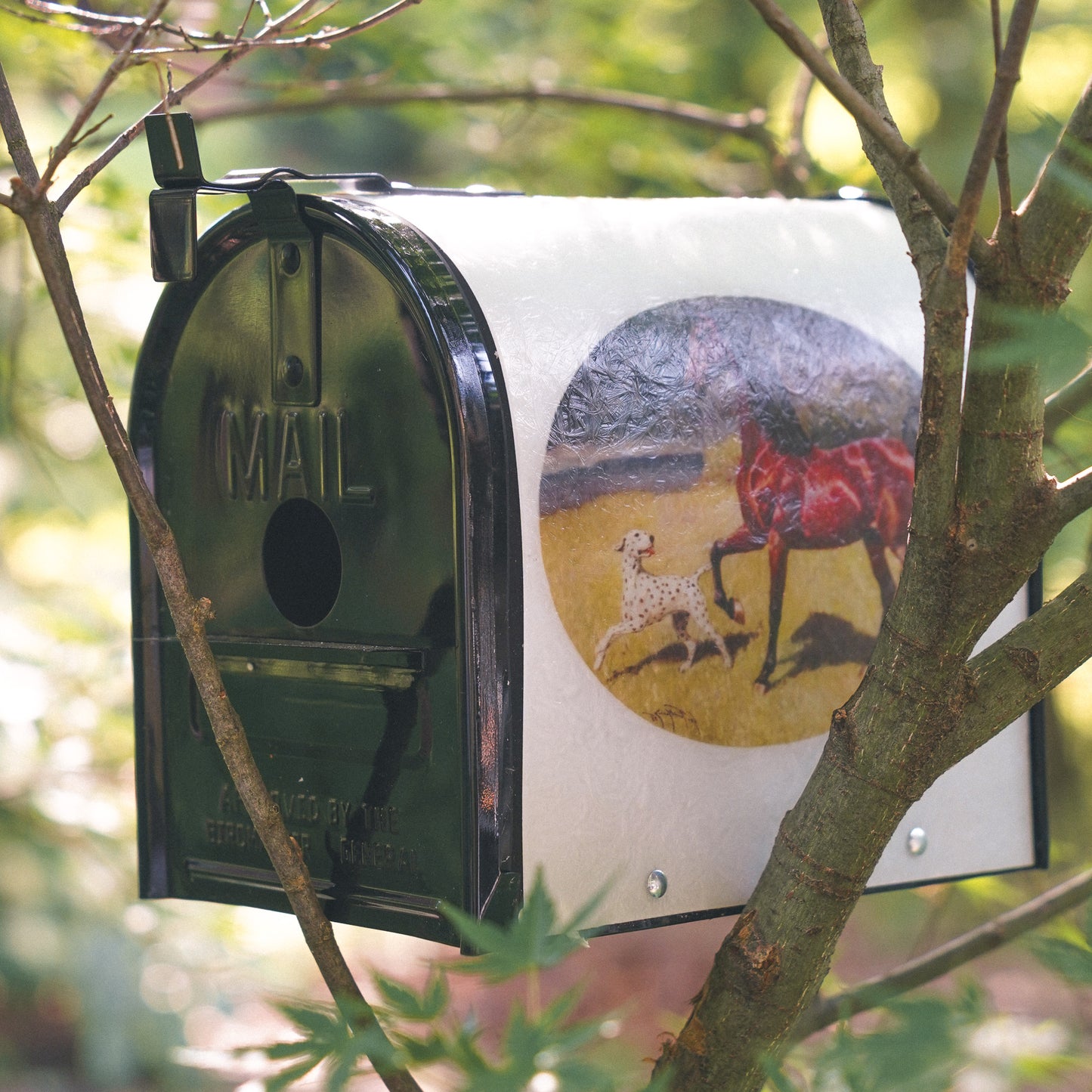American Saddlebred Museum Bird Box