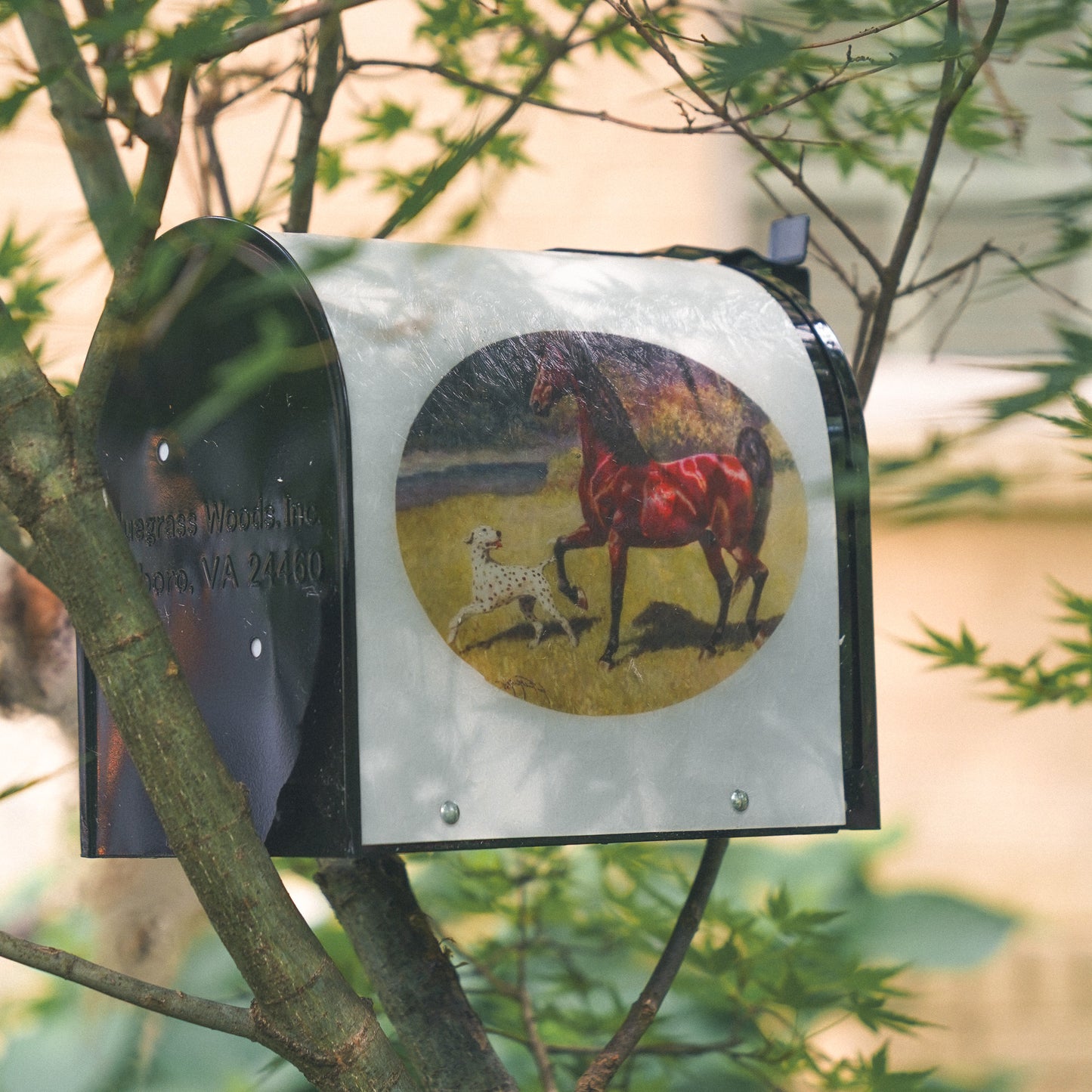 American Saddlebred Museum Bird Box