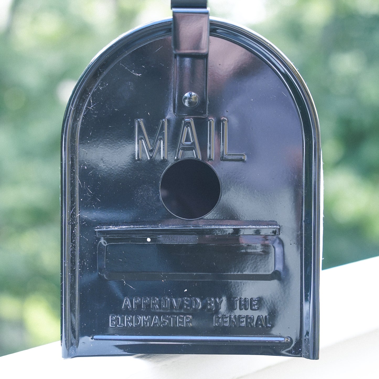 American Saddlebred Museum Bird Box