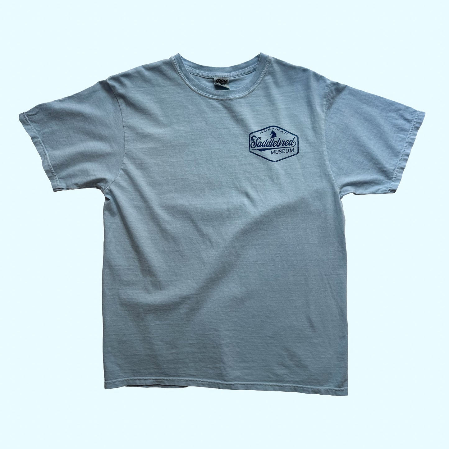 ASM Retro Tee, Powder Blue