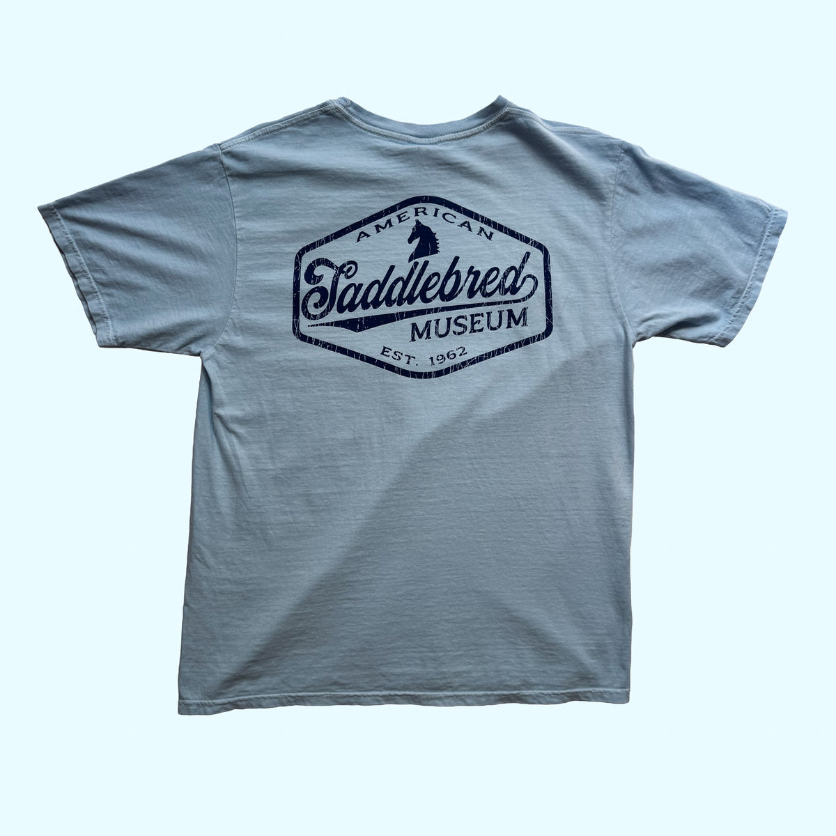 ASM Retro Tee, Powder Blue