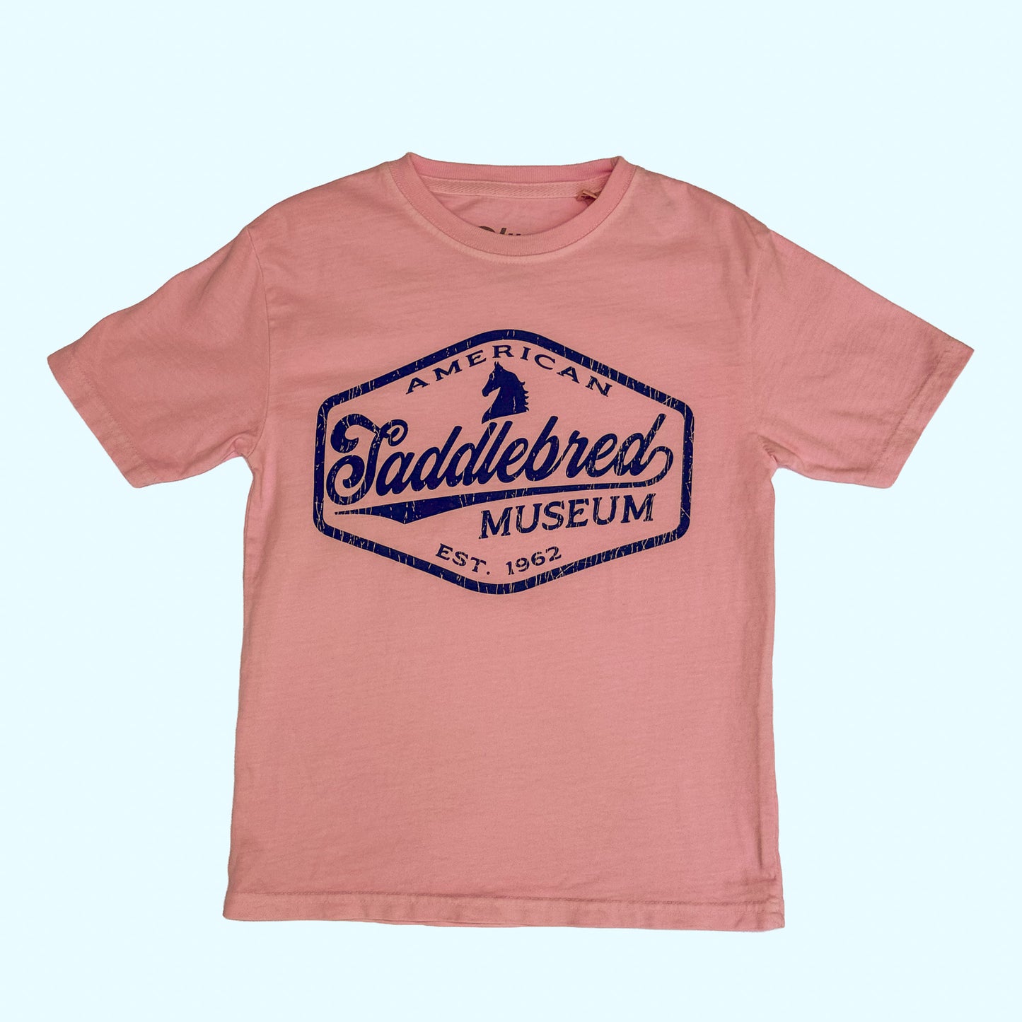 ASM Youth Retro Tee, Blush