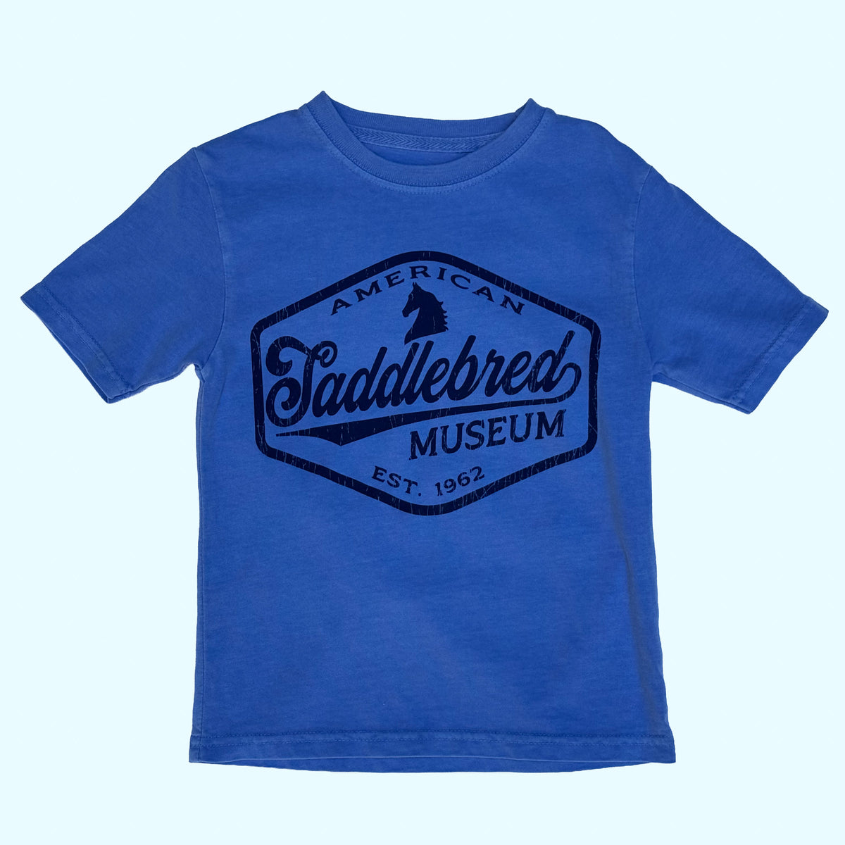 ASM Youth Retro Tee, Periwinkle