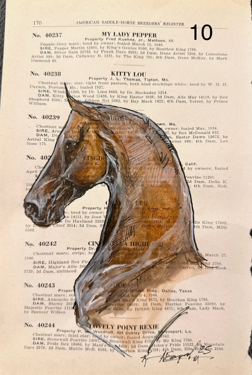 Kenna Al-Sayed: American Saddle Horse page 170 approx 6x9”      10