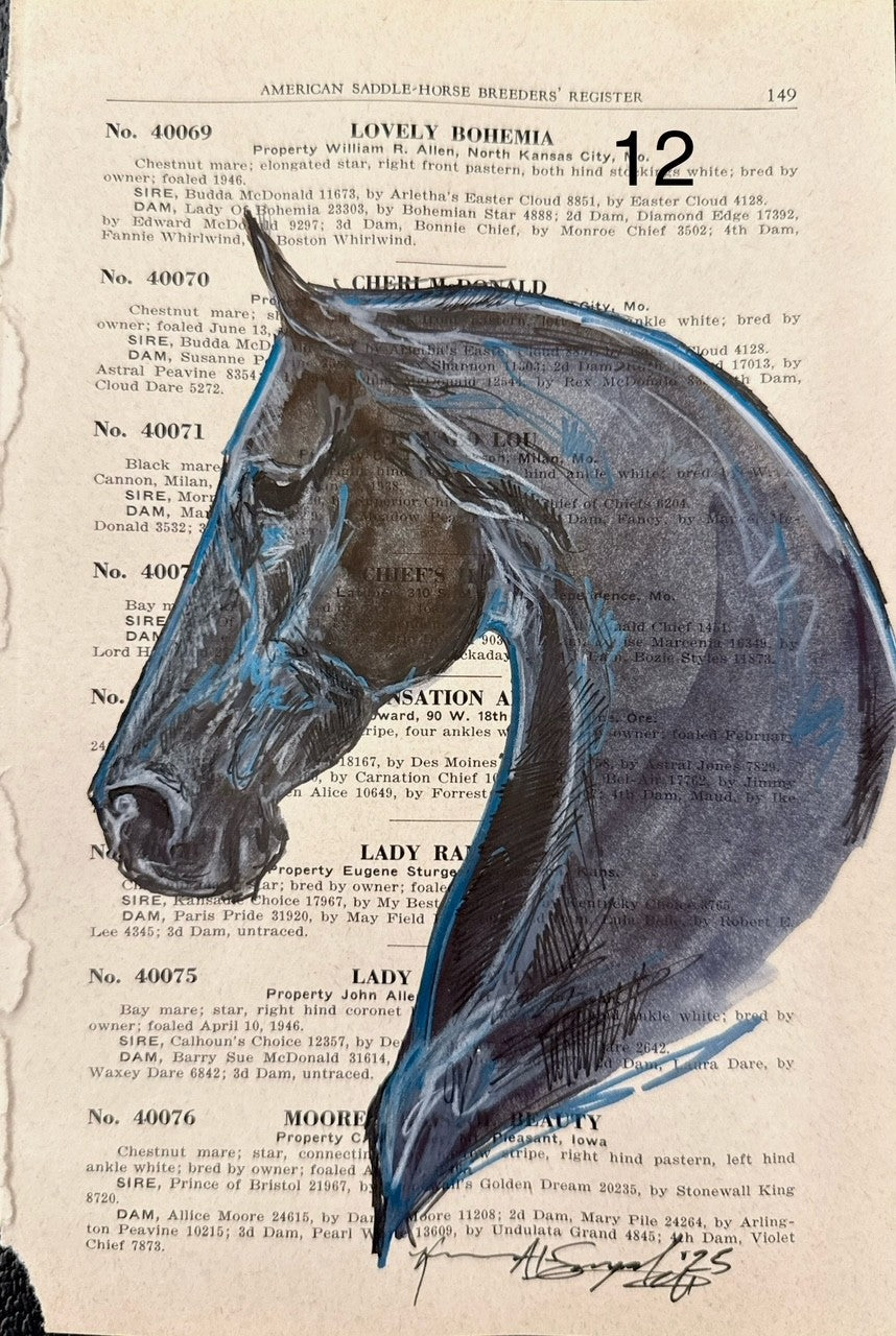 Kenna Al-Sayed: American Saddle Horse page 149 approx 6x9”      12