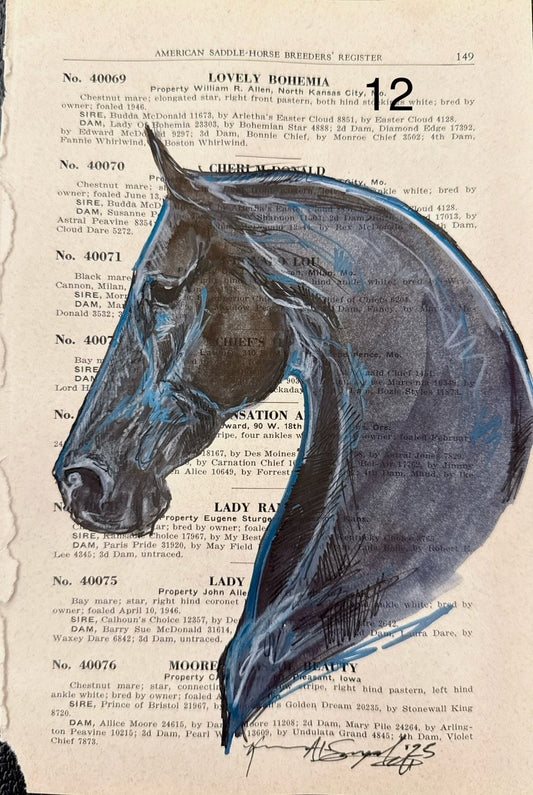 Kenna Al-Sayed: American Saddle Horse page 149 approx 6x9”      12