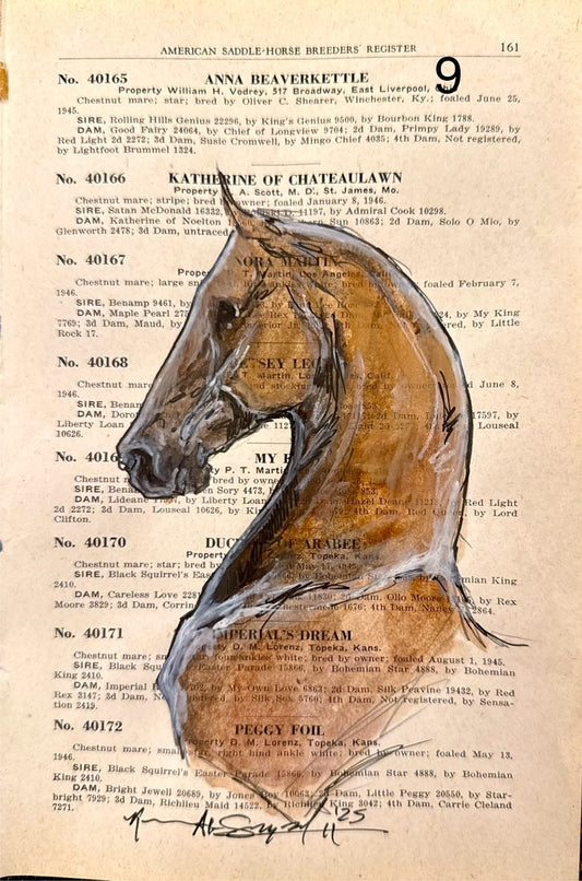 Kenna Al-Sayed:American Saddle Horse page 161  approx 6x9”    9