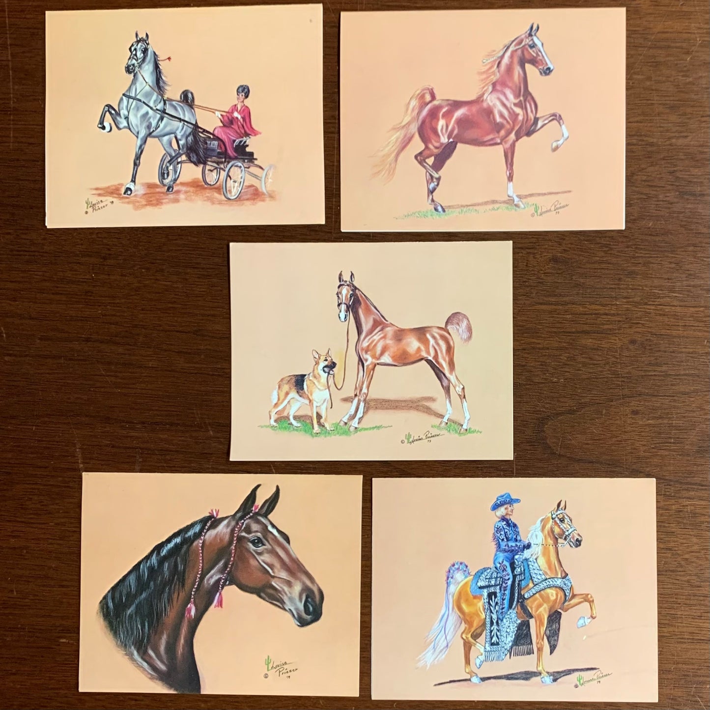 Vintage Saddlebred Note Cards