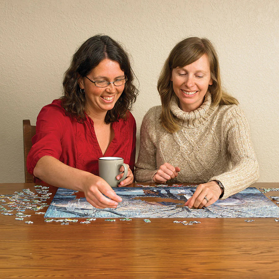 Winter's Beauty Puzzle
