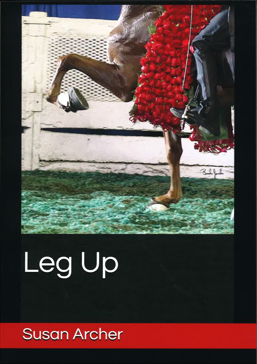 Leg Up by Susan Archer Book Cover Saddlebred Horse Bottom Half Leg Up with Roses on Green Shavings
