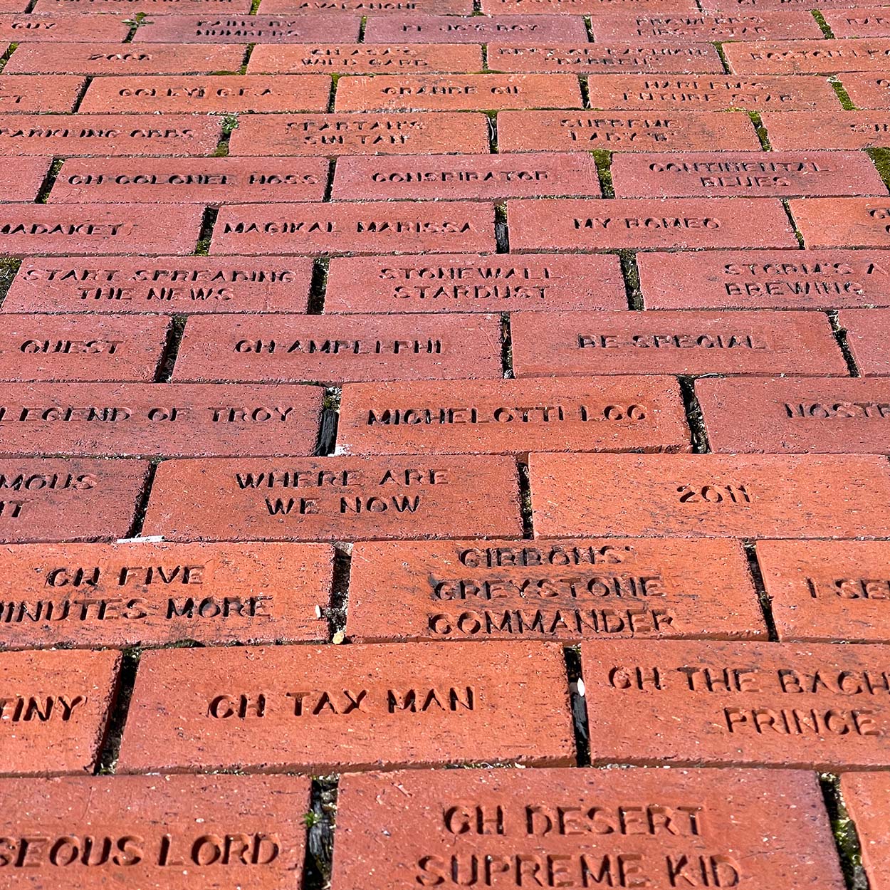 American Saddlebred Museum Saddlebred Sidewalk Brick