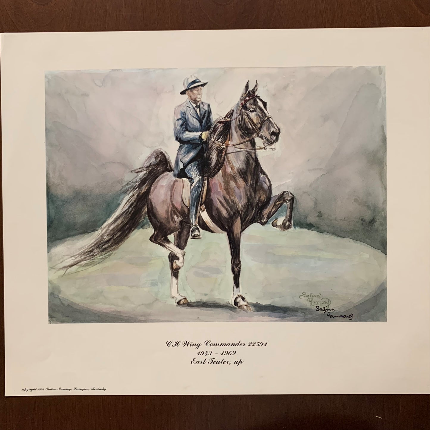 CH Wing Commander Print, Earl Teater, up